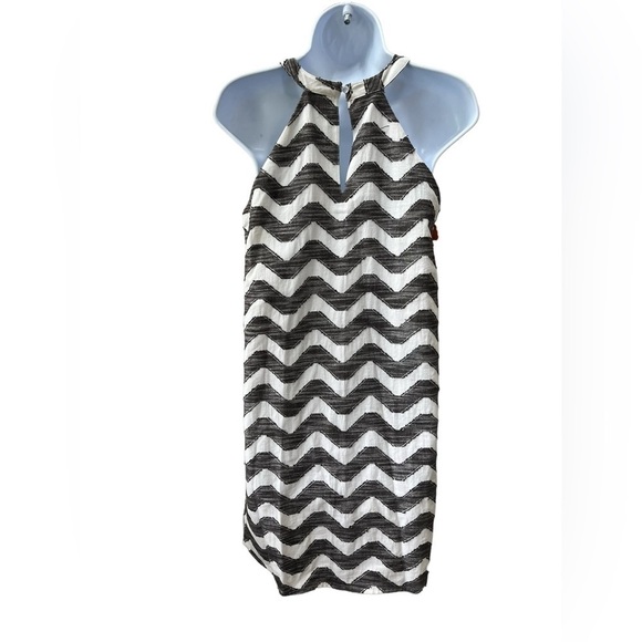 Anthropologie THML Embroidered Dress Sleeveless XS Chevron  Lined Spring Summer - Picture 5 of 11